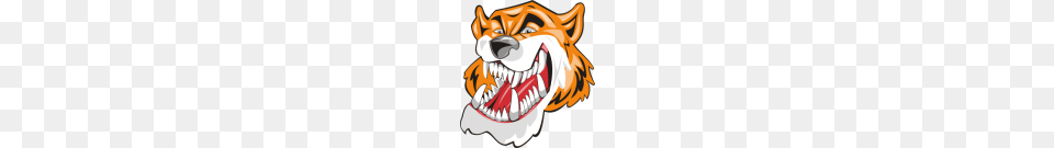 Search Results For Tiger, Body Part, Mouth, Person, Teeth Free Transparent Png