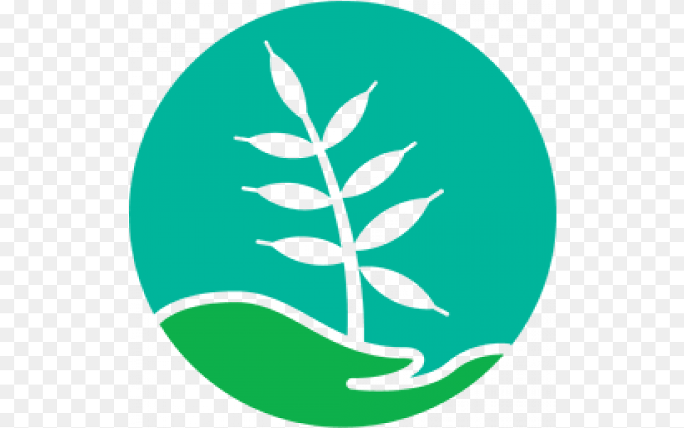 Search Tag Rayo Emblem, Plant, Leaf, Herbs, Herbal Png