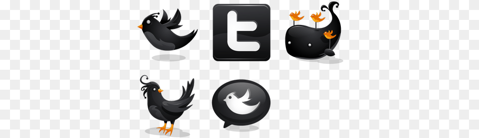 Search Twitter Icon Black, Symbol, Animal, Bird, Blackbird Free Png Download