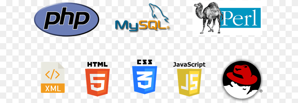 Searchlight Consulting Web Programming Languages Most Popular Coding Languages, Logo, Head, Person Free Transparent Png