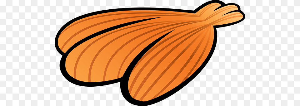 Seashell Food, Produce, Lute, Musical Instrument Free Transparent Png