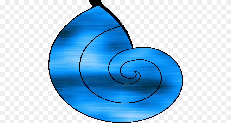 Seashell After The Antique, Spiral, Coil Free Png