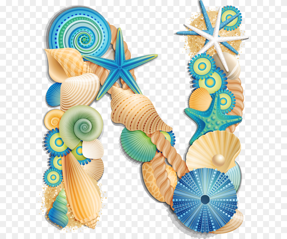 Seashell Alphabet, Animal, Invertebrate, Sea Life, Clam Free Transparent Png