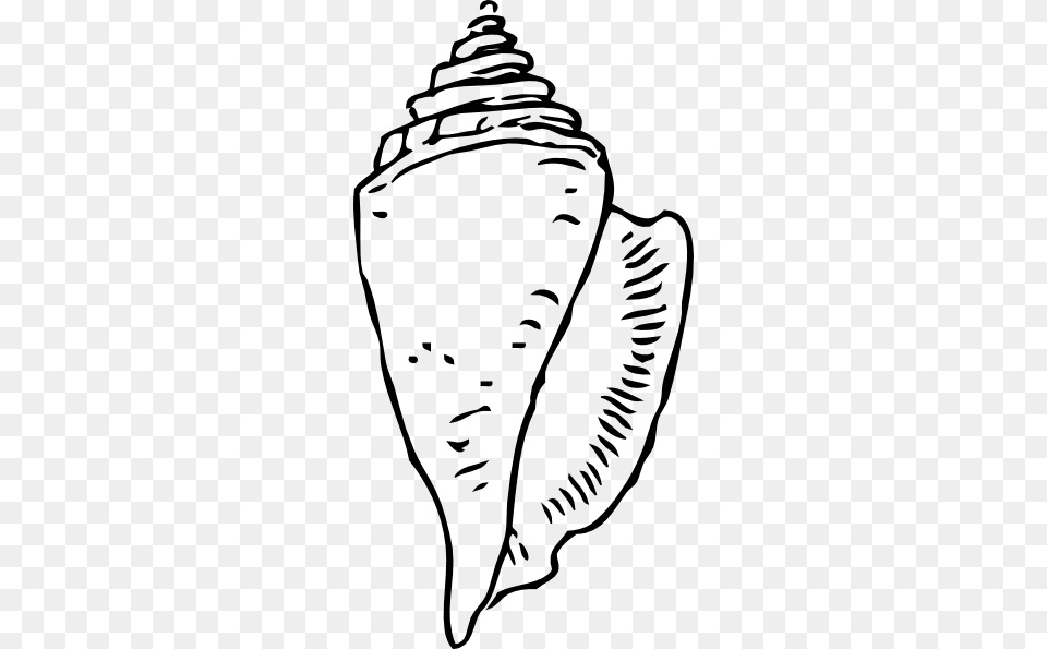 Seashell Black Clip Art, Animal, Invertebrate, Sea Life, Baby Png