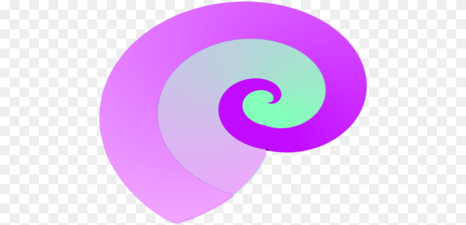 Seashell Circle, Spiral, Coil Png