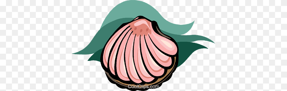 Seashell Clam Shell Royalty Vector Clip Art Illustration, Animal, Food, Invertebrate, Sea Life Free Png
