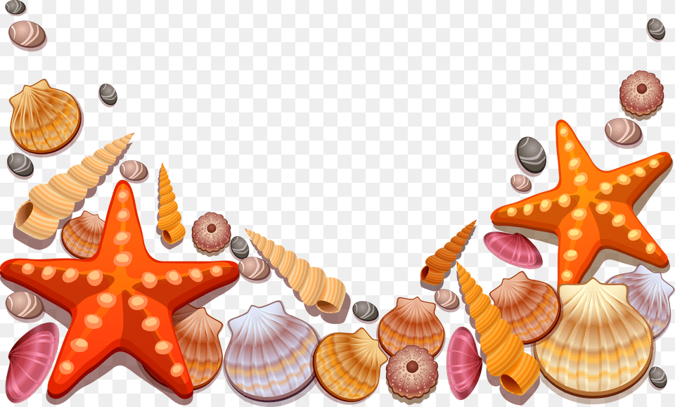 Seashell Clip Art Sea Shells Clipart, Animal, Invertebrate, Sea Life Free Transparent Png