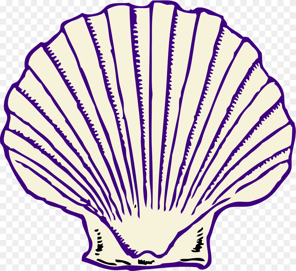 Seashell Clipart, Animal, Clam, Food, Invertebrate Png