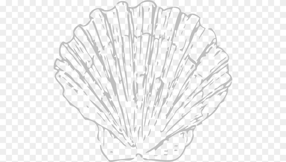 Seashell Clipart Blue, Animal, Clam, Food, Invertebrate Png Image