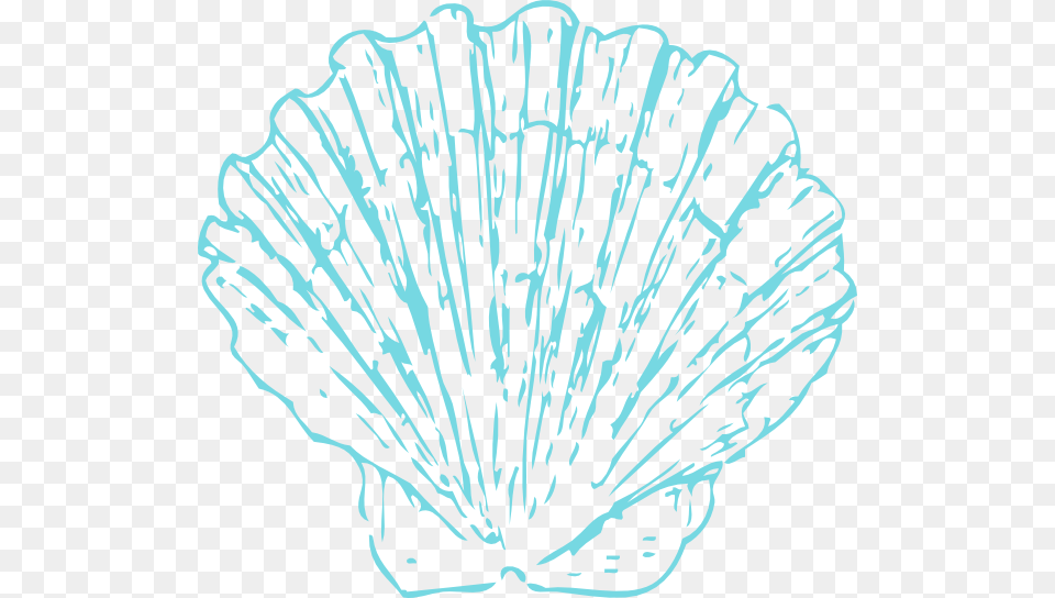 Seashell Clipart Blue, Animal, Clam, Food, Invertebrate Png Image