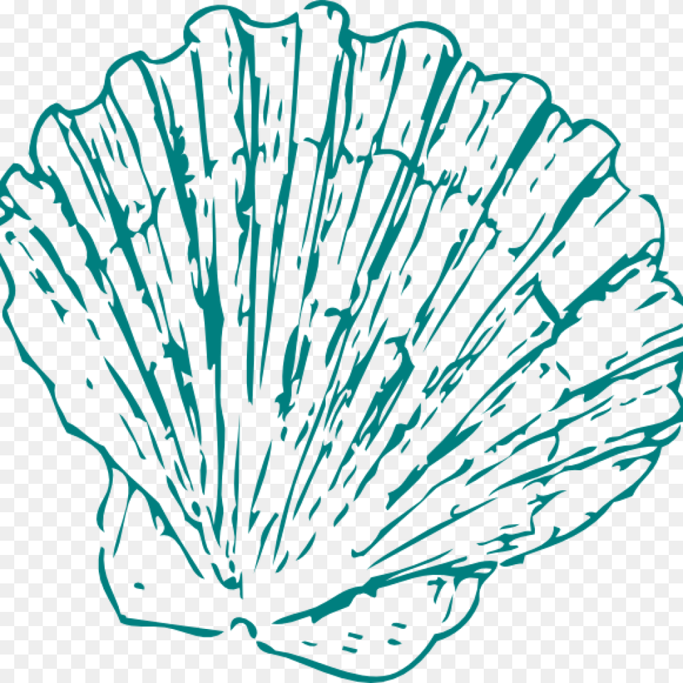 Seashell Clipart Greeen Sea Shell Clip Art At Clker Seashell Clip Art, Animal, Clam, Food, Invertebrate Png