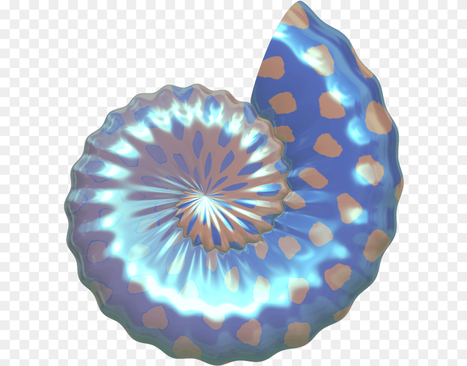 Seashell Cliparts The Cliparts Sea Shells Background, Accessories, Ornament, Food, Dessert Free Transparent Png