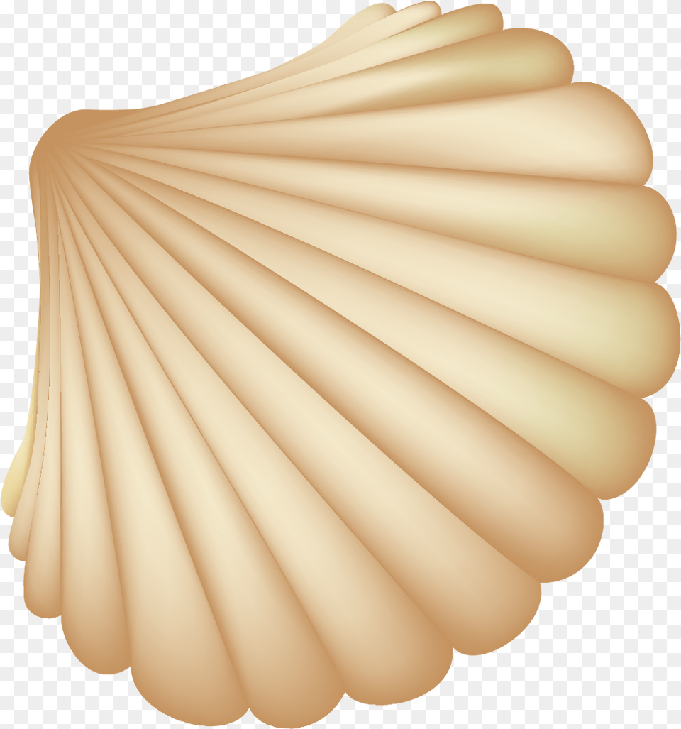 Seashell Computer File Shell Vector, Animal, Clam, Food, Invertebrate Png