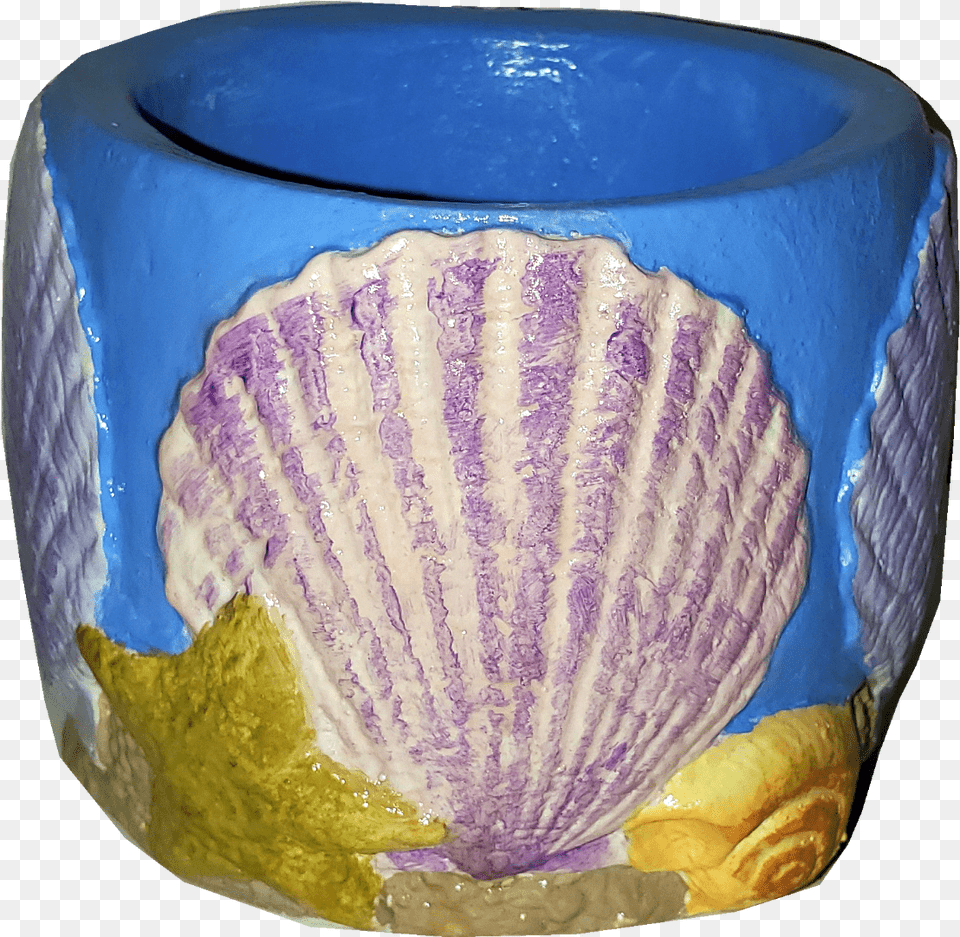 Seashell Desk Cup Ceramic, Animal, Invertebrate, Sea Life, Plate Free Png