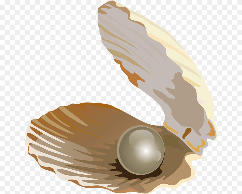 Seashell Download Jewellery Transprent Pearl Shell Without Background, Accessories, Jewelry, Person Png