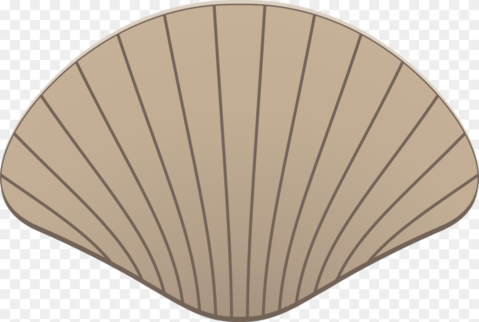 Seashell Drawing Download Computer Icons Kerang Clipart, Animal, Clam, Food, Invertebrate Free Transparent Png