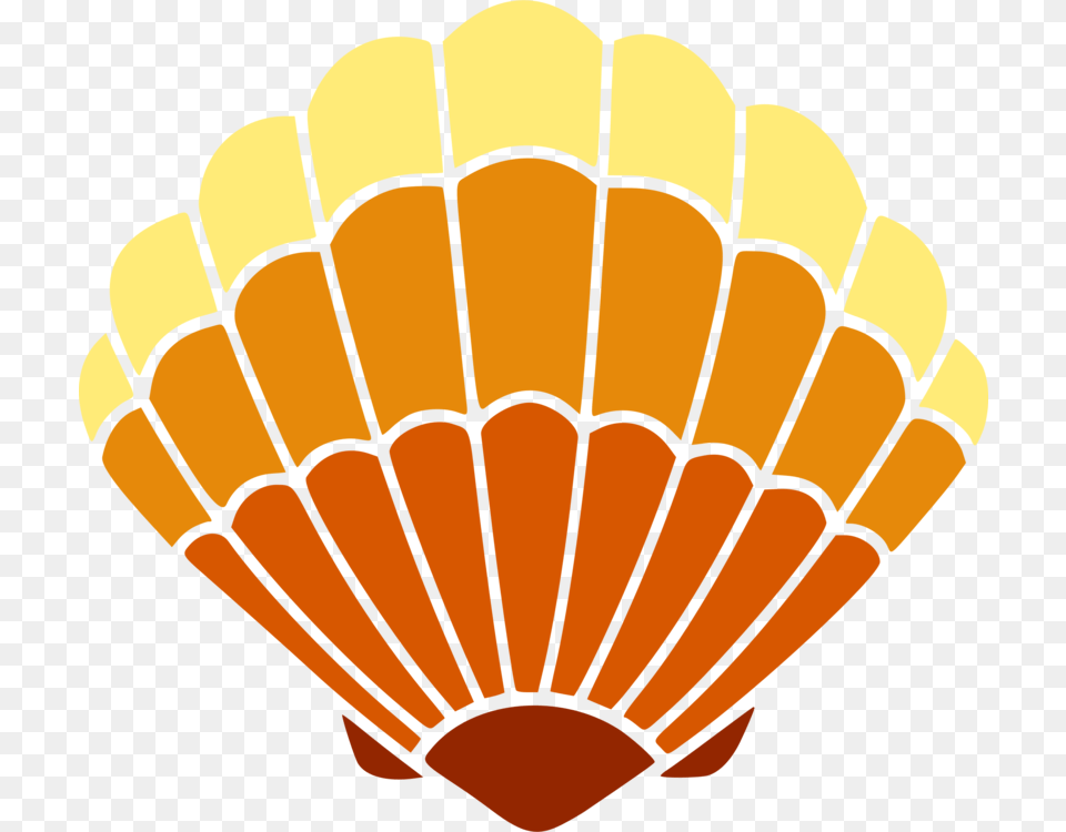 Seashell Encapsulated Postscript Autocad Dxf Drawing Microsoft, Aircraft, Hot Air Balloon, Transportation, Vehicle Png Image