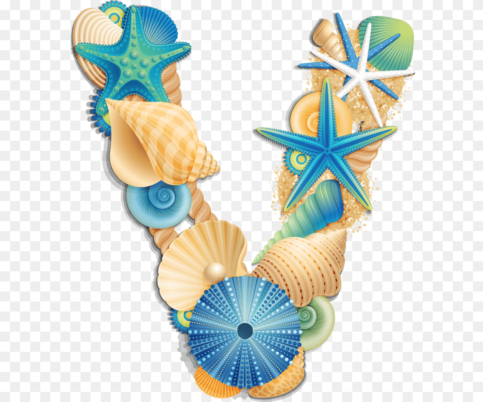 Seashell Letter Clipart, Animal, Invertebrate, Sea Life, Clam Free Transparent Png