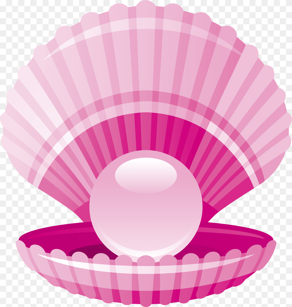 Seashell Pink Fresh Shell Sea Shell Clipart, Animal, Clam, Food, Invertebrate Free Transparent Png