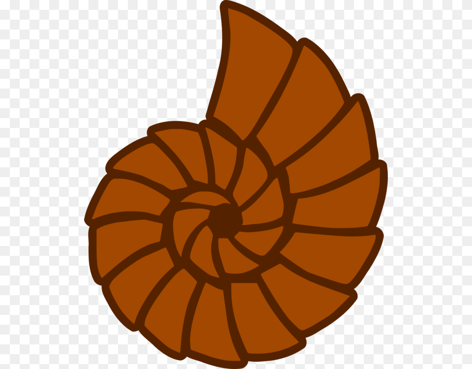 Seashell Sticker Drawing Decal Beach, Produce, Vegetable, Pumpkin, Food Free Png Download