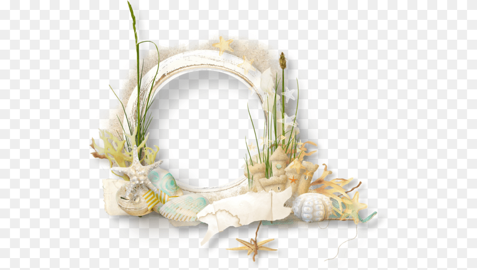 Seashell Transparent Background Frame, Flower, Flower Arrangement, Plant, Animal Png