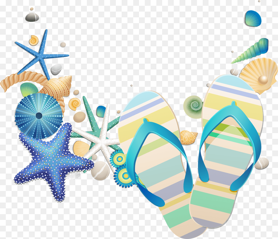 Seashells, Clothing, Flip-flop, Footwear Png