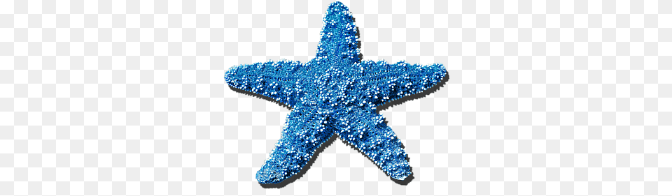 Seashells And Starfish Amanda Robles Picture Blue Sea Star, Animal, Chandelier, Lamp, Sea Life Png Image