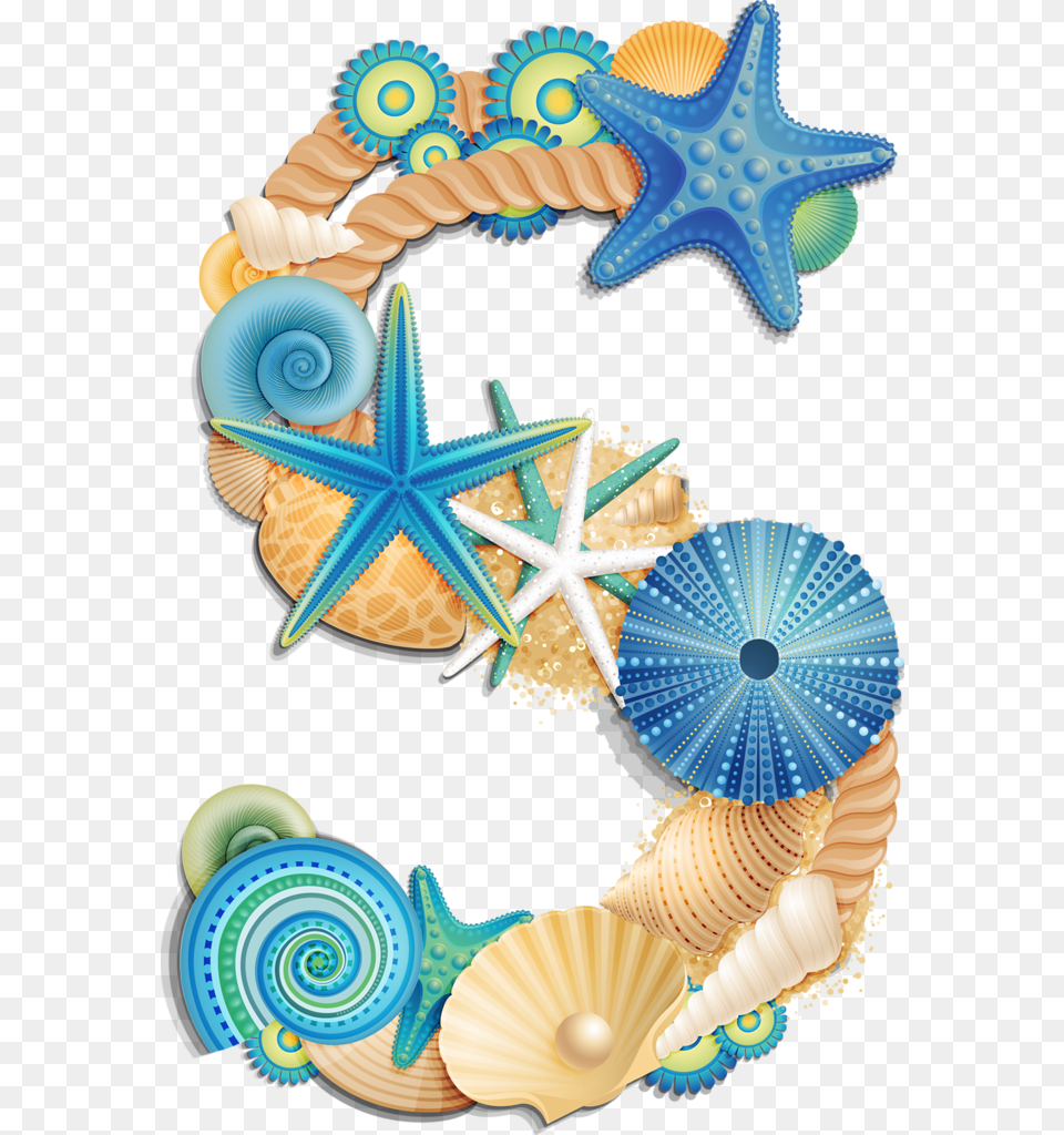 Seashells Clipart Letters, Animal, Invertebrate, Sea Life, Seashell Png Image