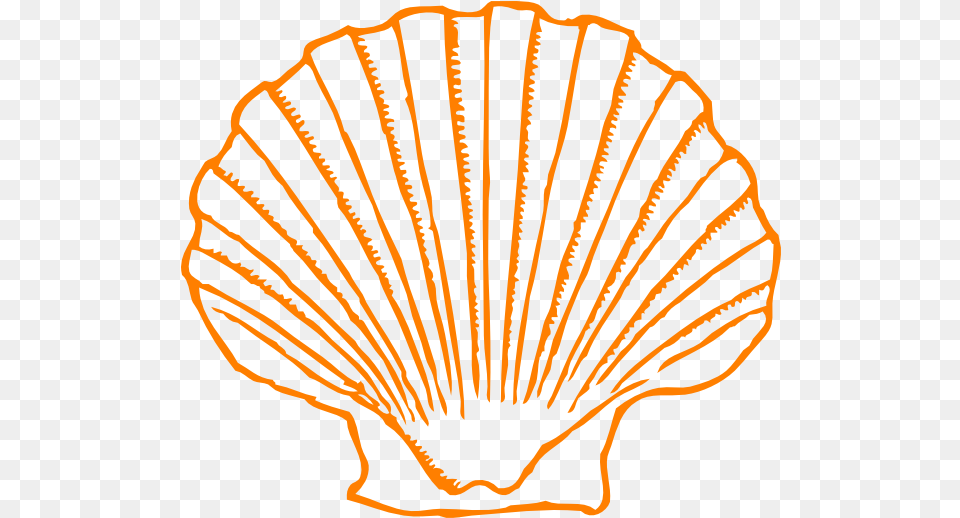 Seashells Clipart Orange Shell Clipart Transparent Purple Shell Clip Art, Animal, Clam, Food, Invertebrate Png