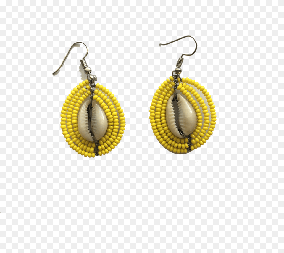 Seashells Earrings, Accessories, Earring, Jewelry Png Image