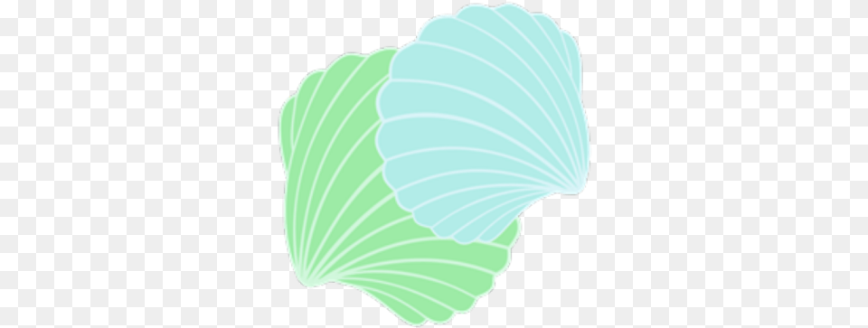 Seashells Green And Blue Roblox Vegetable, Leafy Green Vegetable, Produce, Plant, Seafood Png Image