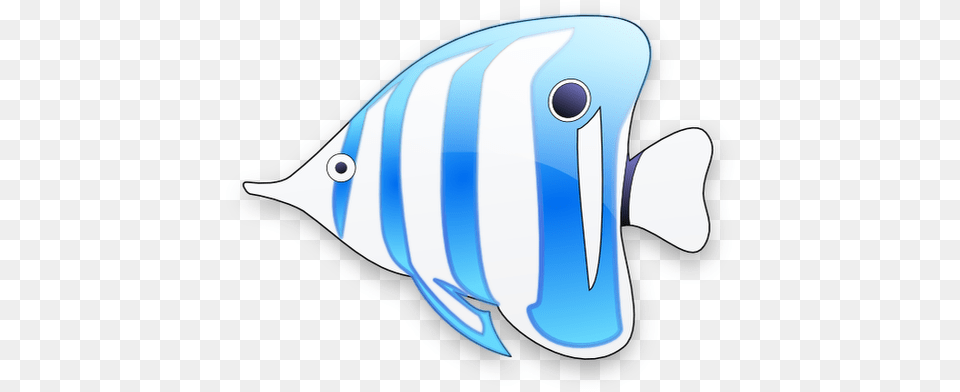 Seashore Icon, Animal, Sea Life, Angelfish, Fish Free Png