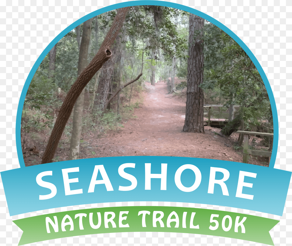 Seashore Nature Trail, Woodland, Path, Outdoors, Land Png Image