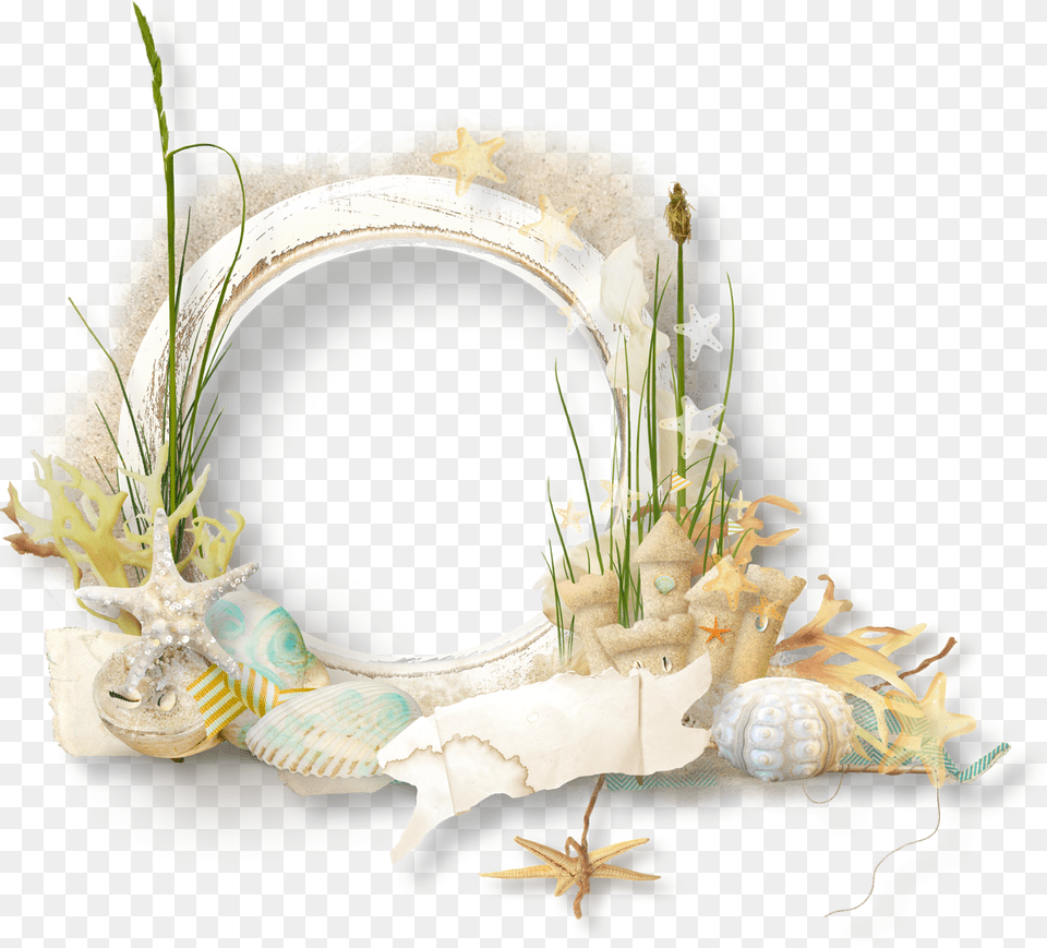 Seaside Clipart Beach Frame Beach Frames, Flower, Flower Arrangement, Plant, Animal Free Transparent Png