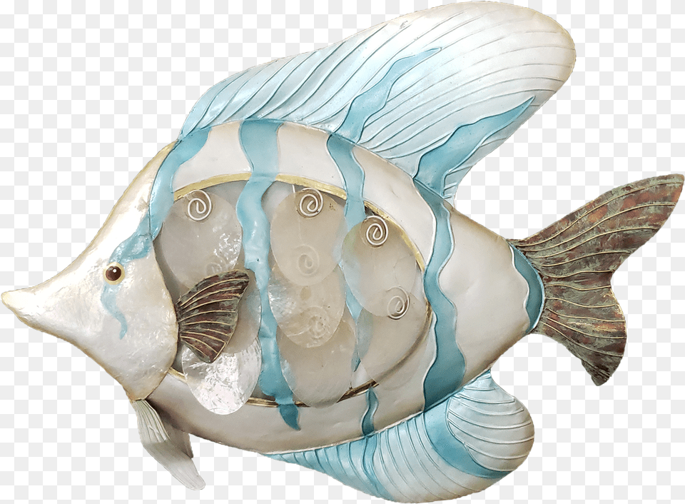 Seaside Tropical Fish Wall Art Conch, Animal, Sea Life, Invertebrate, Seashell Png Image