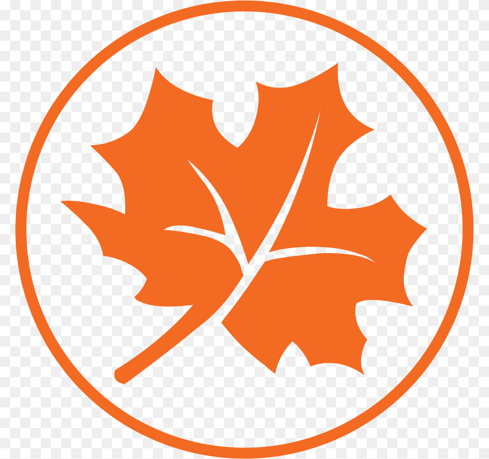 Season, Leaf, Plant, Maple Leaf, Logo Free Png Download