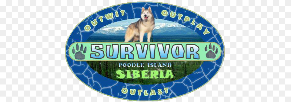 Season 2 Logo Survivor Siberia, Animal, Canine, Dog, Husky Png Image