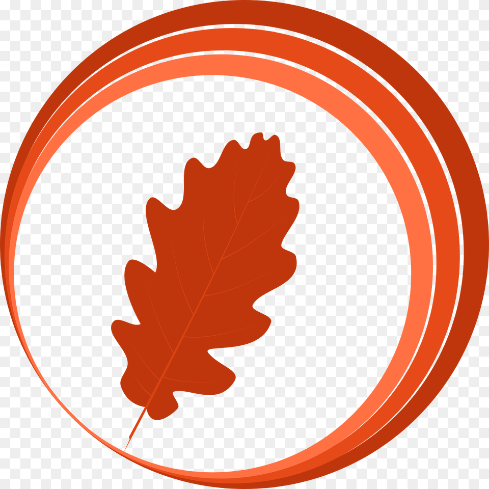 Season Clipart, Leaf, Plant, Tree, Maple Leaf Png