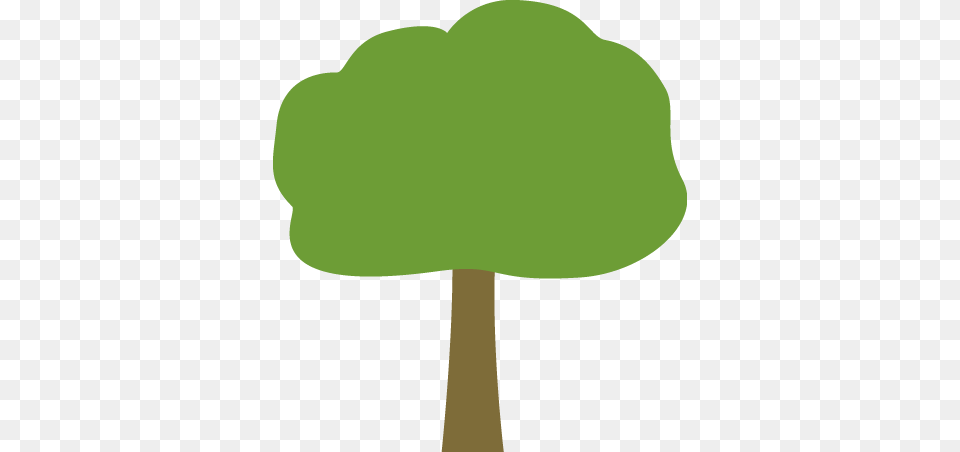 Season Clipart Oak Tree Tree Clipart Oak, Agaric, Fungus, Mushroom, Plant Png