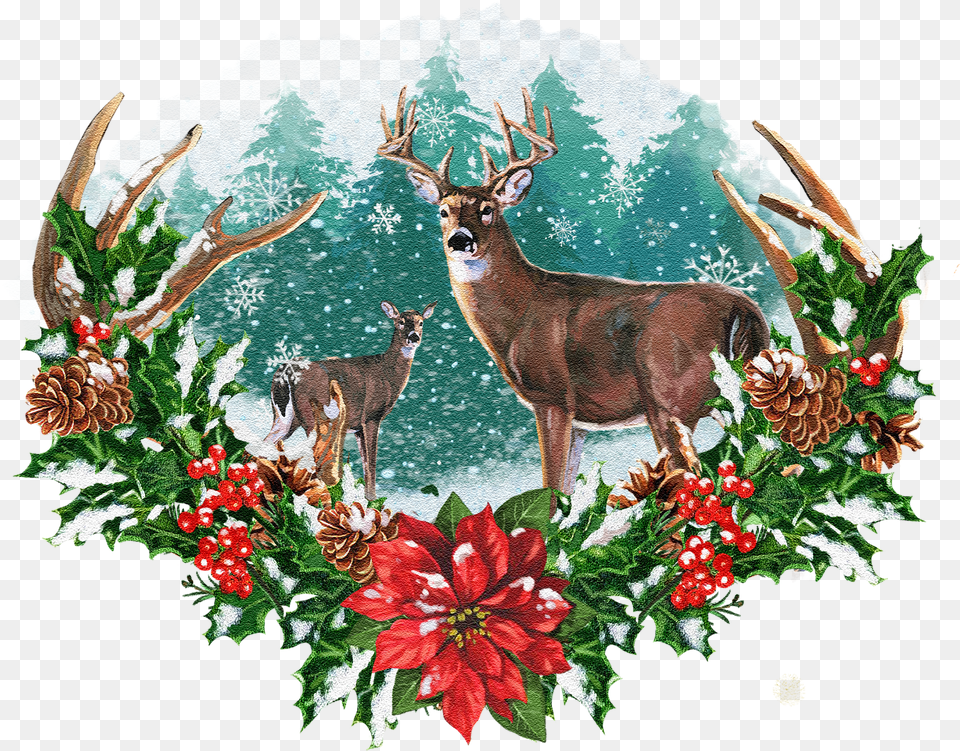Seasonal Illustrations For Packaging And Merchandising Roe Deer Free Png