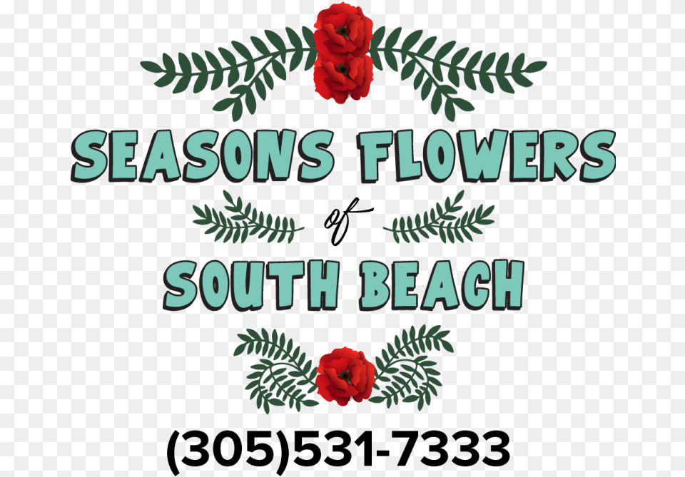 Seasons Flowers Of South Beach Hybrid Tea Rose, Flower, Plant, Petal, Carnation Free Png