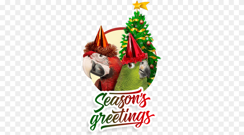 Seasons Greetings From Lafeber Season, Clothing, Hat, Animal, Bird Free Transparent Png