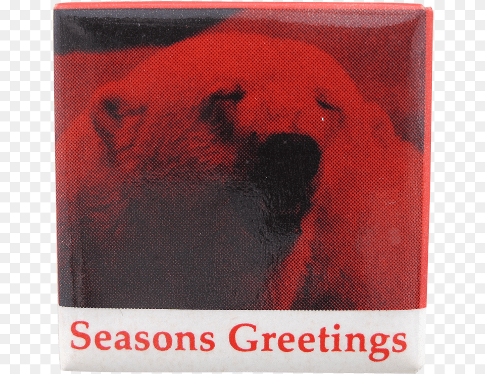 Seasons Greetings Polar Bear Builders, Adult, Male, Man, Person Free Png