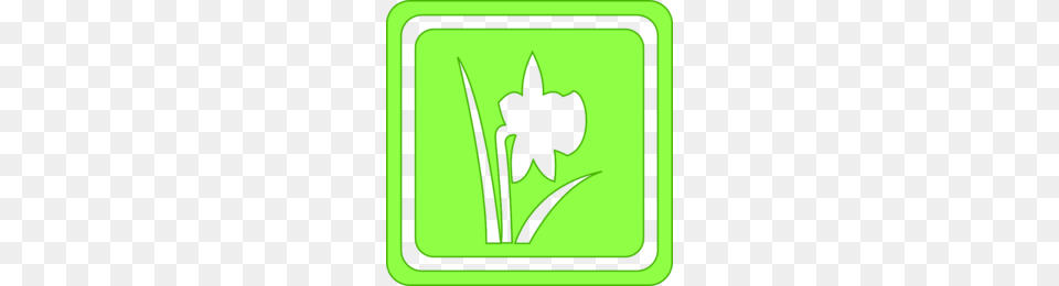 Seasons Of The Year Clipart, Flower, Plant, Symbol, White Board Png