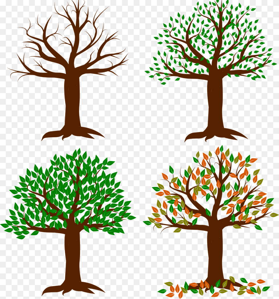 Seasons Of The Year In Sa, Plant, Tree, Vegetation, Art Free Png Download