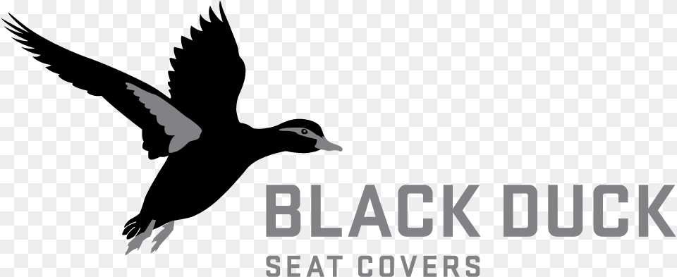 Seat Cover Black Duck, Animal, Bird, Flying, Stencil Free Png Download
