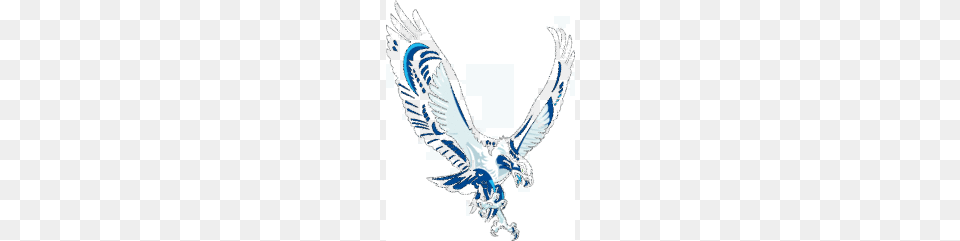 Seattle Clip Art Clip Arts, Animal, Bird, Flying, Vulture Free Png Download