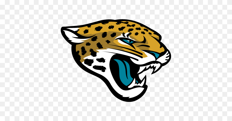 Seattle Seahawks Nfl, Animal, Cheetah, Mammal, Wildlife Png Image