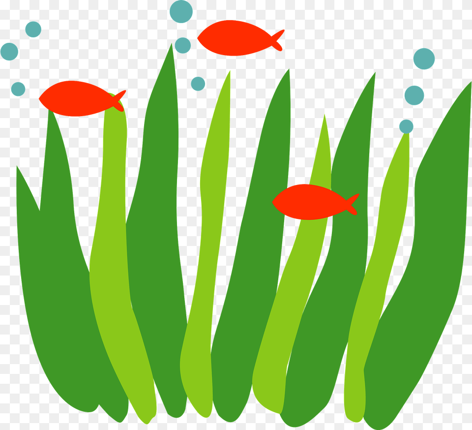 Seaweed And Fish Clipart, Aquatic, Water, Animal, Flower Png Image
