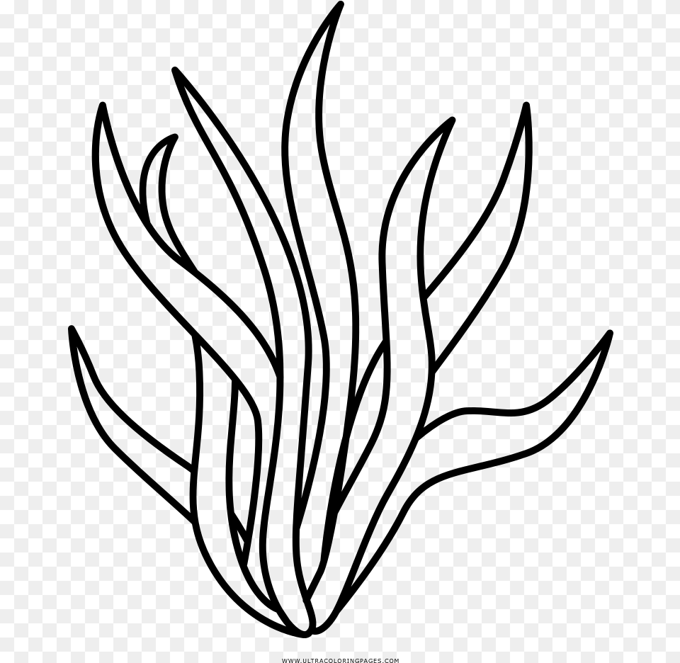 Seaweed Clipart Black And White, Gray Free Png